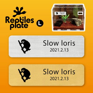 y BLACK FRIDAY P5{ z v^CY v[g L y X[X zP[W  v^C{bNX p  D l[v[g p_E eE ANAE 