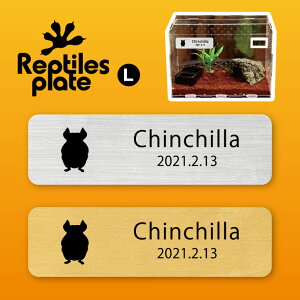 y BLACK FRIDAY P5{ z v^CY v[g L y `` zP[W  v^C{bNX p  D l[v[g p_E eE ANAE 