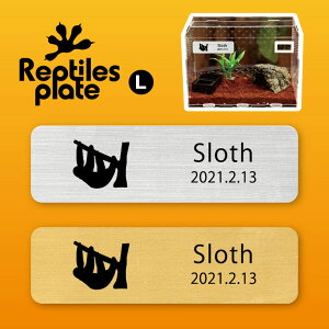 y }\ P5{ zv^CY v[g L y i}Pm zP[W  v^C{bNX p  D l[v[g p_E eE ANAE 