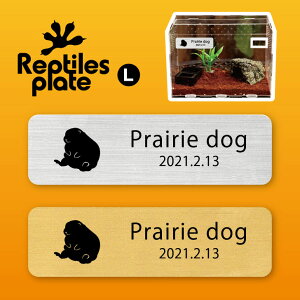 y BLACK FRIDAY P5{ z v^CY v[g L y v[[hbO zP[W  v^C{bNX p  D l[v[g p_E eE ANAE 