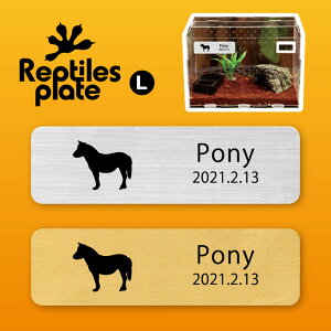 y BLACK FRIDAY P5{ z v^CY v[g L y |j[ zP[W  v^C{bNX p  D l[v[g p_E eE ANAE 