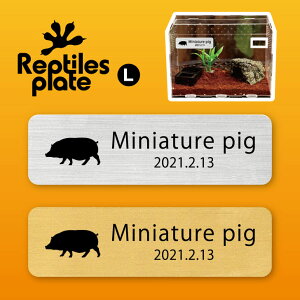 y BLACK FRIDAY P5{ z v^CY v[g L y ~ju^ zP[W  v^C{bNX p  D l[v[g p_E eE ANAE 