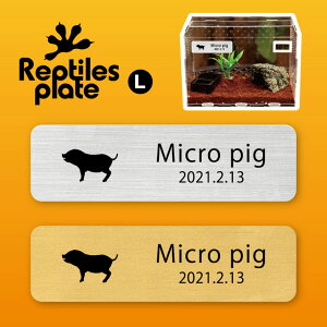 y BLACK FRIDAY P5{ z v^CY v[g L y }CNu^ zP[W  v^C{bNX p  D l[v[g p_E eE ANAE 