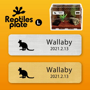 y BLACK FRIDAY P5{ z v^CY v[g L y r[ zP[W  v^C{bNX p  D l[v[g p_E eE ANAE 