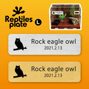 y BLACK FRIDAY P5{ z v^CY v[g L y xKV~~YN zP[W  v^C{bNX p  D l[v[g p_E eE ANAE tN