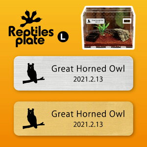 y BLACK FRIDAY P5{ z v^CY v[g L y AJV~~YN zP[W  v^C{bNX p  D l[v[g p_E eE ANAE tN