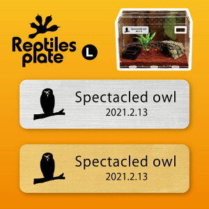 y BLACK FRIDAY P5{ z v^CY v[g L y KltNE zP[W  v^C{bNX p  D l[v[g p_E eE ANAE tNE