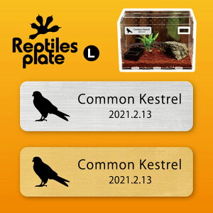 y BLACK FRIDAY P5{ z v^CY v[g L y `EQ{E zP[W  v^C{bNX p  D l[v[g p_E eE ANAE ҋח