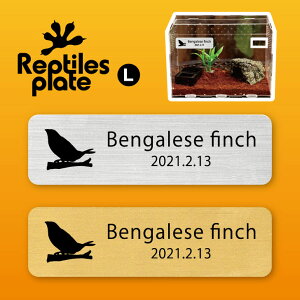 y BLACK FRIDAY P5{ z v^CY v[g L y \o zP[W  v^C{bNX p  D l[v[g p_E eE ANAE 