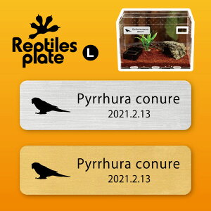 y BLACK FRIDAY P5{ z v^CY v[g L y ERCR zP[W  v^C{bNX p  D l[v[g p_E eE ANAE 