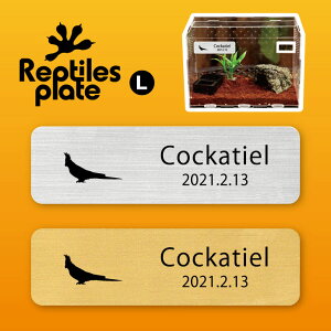 v^CY v[g L y IJCR zP[W  v^C{bNX p  D l[v[g p_E eE ANAE 