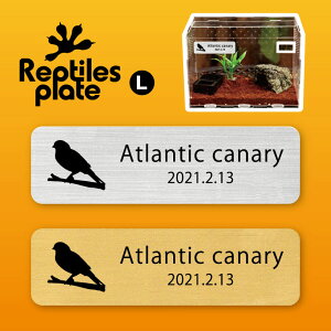 y BLACK FRIDAY P5{ z v^CY v[g L y JiA zP[W  v^C{bNX p  D l[v[g p_E eE ANAE 