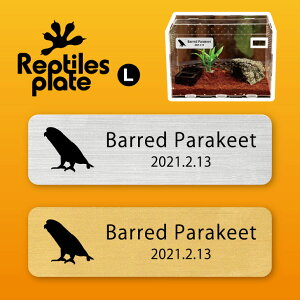 y BLACK FRIDAY P5{ z v^CY v[g L y TUi~CR zP[W  v^C{bNX p  D l[v[g p_E eE ANAE 