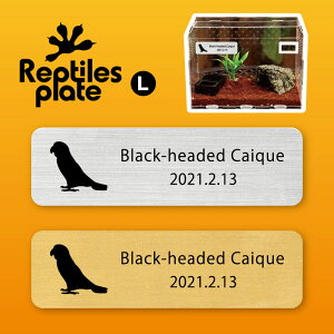 y BLACK FRIDAY P5{ z v^CY v[g L y YOVnCR zP[W  v^C{bNX p  D l[v[g p_E eE ANAE 