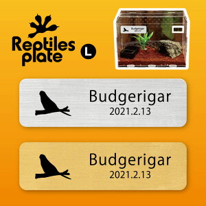 y BLACK FRIDAY P5{ z v^CY v[g L y ZLZCCR zP[W  v^C{bNX p  D l[v[g p_E eE ANAE 