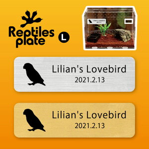 y BLACK FRIDAY P5{ z v^CY v[g L y {^CR zP[W  v^C{bNX p  D l[v[g p_E eE ANAE 