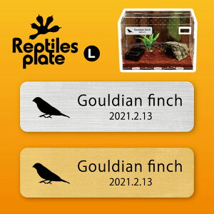 y BLACK FRIDAY P5{ z v^CY v[g L y RL`E zP[W  v^C{bNX p  D l[v[g p_E eE ANAE 