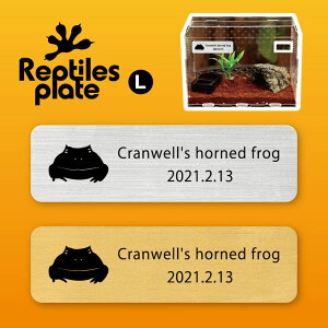 v^CY v[g L y NEFcmKG zP[W  v^C{bNX p  D l[v[g p_E eE ANAE JG