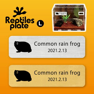 y X[p[SALEԒ P10{ z v^CY v[g L y AtNKG zP[W  v^C{bNX p  D l[v[g p_E eE ANAE 