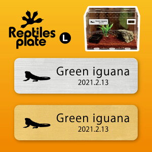 y X[p[SALEԒ P10{ z v^CY v[g L y O[COAi zP[W  v^C{bNX p  D l[v[g p_E eE ANAE 