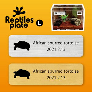 y }\ P5{ zv^CY v[g L y PdNK zP[W  v^C{bNX p  D l[v[g p_E eE ANAE ঒