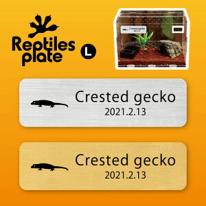 y BLACK FRIDAY P5{ z v^CY v[g L y NXebhQbR[ zP[W  v^C{bNX p  D l[v[g p_E eE ANAE ঒