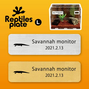 y BLACK FRIDAY P5{ z v^CY v[g L y Toij^[ zP[W  v^C{bNX p  D l[v[g p_E eE ANAE ঒