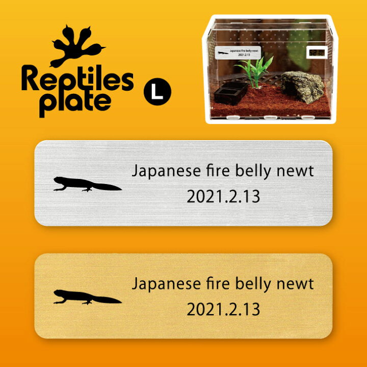 楽天市場 送料無料 レプタイルズ プレート Lサイズ アカハライモリ ケージ 水槽 レプタイルボックス 虫かご用 銘板 名札 ネームプレート パルダリウム テラリウム アクアリウム 両生類 Mo U Ra