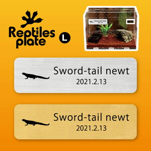 y BLACK FRIDAY P5{ z v^CY v[g L y VPC zP[W  v^C{bNX p  D l[v[g p_E eE ANAE 