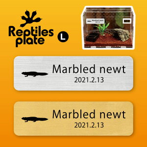 y BLACK FRIDAY P5{ z v^CY v[g L y }_C zP[W  v^C{bNX p  D l[v[g p_E eE ANAE 