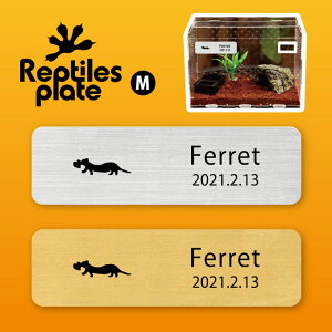 y BLACK FRIDAY P5{ z v^CY v[g MTCY y tFbg@n[g zP[W  v^C{bNX p  D l[v[g p_E eE ANAE 