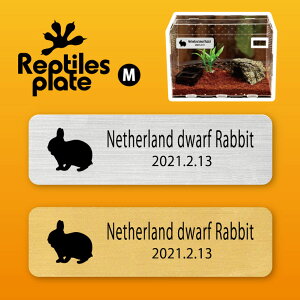 y BLACK FRIDAY P5{ z v^CY v[g MTCY y lU[hh[t zP[W  v^C{bNX p  D l[v[g p_E eE ANAE