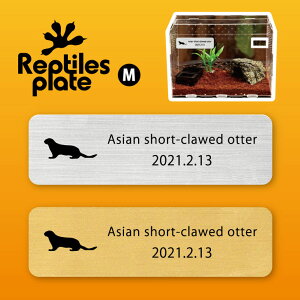 y BLACK FRIDAY P5{ z v^CY v[g MTCY y RcJE\ zP[W  v^C{bNX p  D l[v[g p_E eE ANAE 