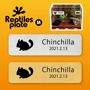 y BLACK FRIDAY P5{ z v^CY v[g MTCY y `` zP[W  v^C{bNX p  D l[v[g p_E eE ANAE 