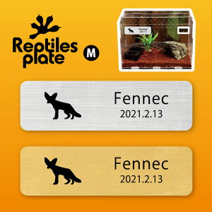 y BLACK FRIDAY P5{ z v^CY v[g MTCY y tFlbN zP[W  v^C{bNX p  D l[v[g p_E eE ANAE 