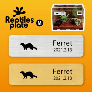 v^CY v[g MTCY y tFbg zP[W  v^C{bNX p  D l[v[g p_E eE ANAE 