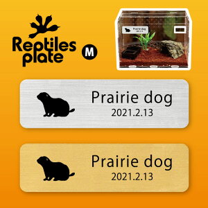 y BLACK FRIDAY P5{ z v^CY v[g MTCY y v[[hbO zP[W  v^C{bNX p  D l[v[g p_E eE ANAE 