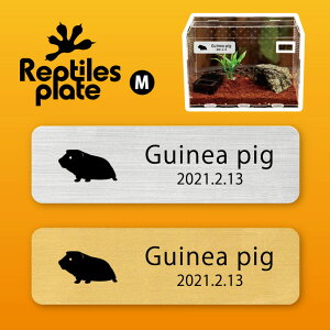 y BLACK FRIDAY P5{ z v^CY v[g MTCY y bg zP[W  v^C{bNX p  D l[v[g p_E eE ANAE 