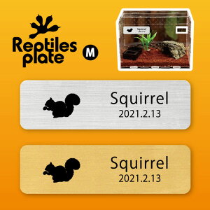 y BLACK FRIDAY P5{ z v^CY v[g MTCY y X zP[W  v^C{bNX p  D l[v[g p_E eE ANAE 