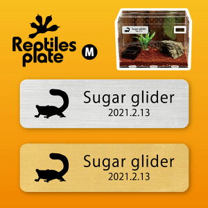 y BLACK FRIDAY P5{ z v^CY v[g MTCY y tNK zP[W  v^C{bNX p  D l[v[g p_E eE ANAE 