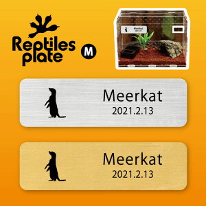 y BLACK FRIDAY P5{ z v^CY v[g MTCY y ~[ALbg zP[W  v^C{bNX p  D l[v[g p_E eE ANAE 