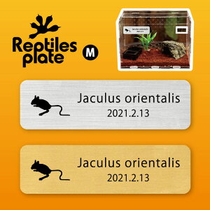 y BLACK FRIDAY P5{ z v^CY v[g MTCY y II~rgrlY~ zP[W  v^C{bNX p  D l[v[g p_E eE ANAE