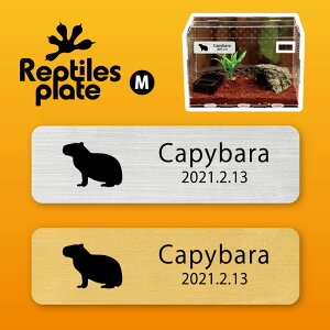 y BLACK FRIDAY P5{ z v^CY v[g MTCY y Jsp zP[W  v^C{bNX p  D l[v[g p_E eE ANAE 