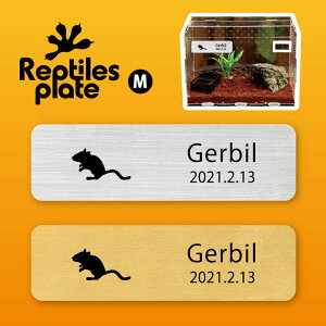 y BLACK FRIDAY P5{ z v^CY v[g MTCY y W[r zP[W  v^C{bNX p  D l[v[g p_E eE ANAE 