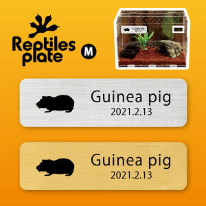 y BLACK FRIDAY P5{ z v^CY v[g MTCY y XLj[MjAsbO zP[W  v^C{bNX p  D l[v[g p_E eE ANAE