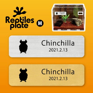 y BLACK FRIDAY P5{ z v^CY v[g MTCY y `` zP[W  v^C{bNX p  D l[v[g p_E eE ANAE 