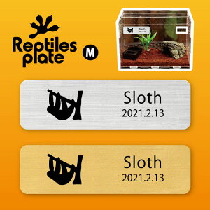 y BLACK FRIDAY P5{ z v^CY v[g MTCY y i}Pm zP[W  v^C{bNX p  D l[v[g p_E eE ANAE 