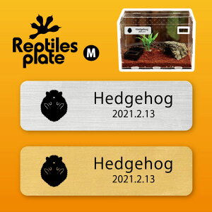 y BLACK FRIDAY P5{ z v^CY v[g MTCY y nlY~ zP[W  v^C{bNX p  D l[v[g p_E eE ANAE 