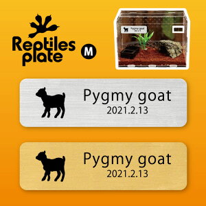 y BLACK FRIDAY P5{ z v^CY v[g MTCY y sO~[S[g zP[W  v^C{bNX p  D l[v[g p_E eE ANAE 