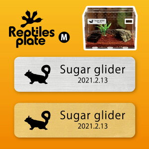 y BLACK FRIDAY P5{ z v^CY v[g MTCY y tNK zP[W  v^C{bNX p  D l[v[g p_E eE ANAE 